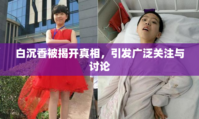 白沉香被揭开真相，引发广泛关注与讨论