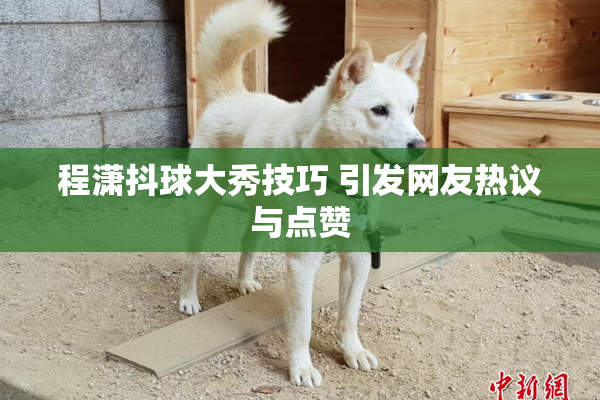 程潇抖球大秀技巧 引发网友热议与点赞