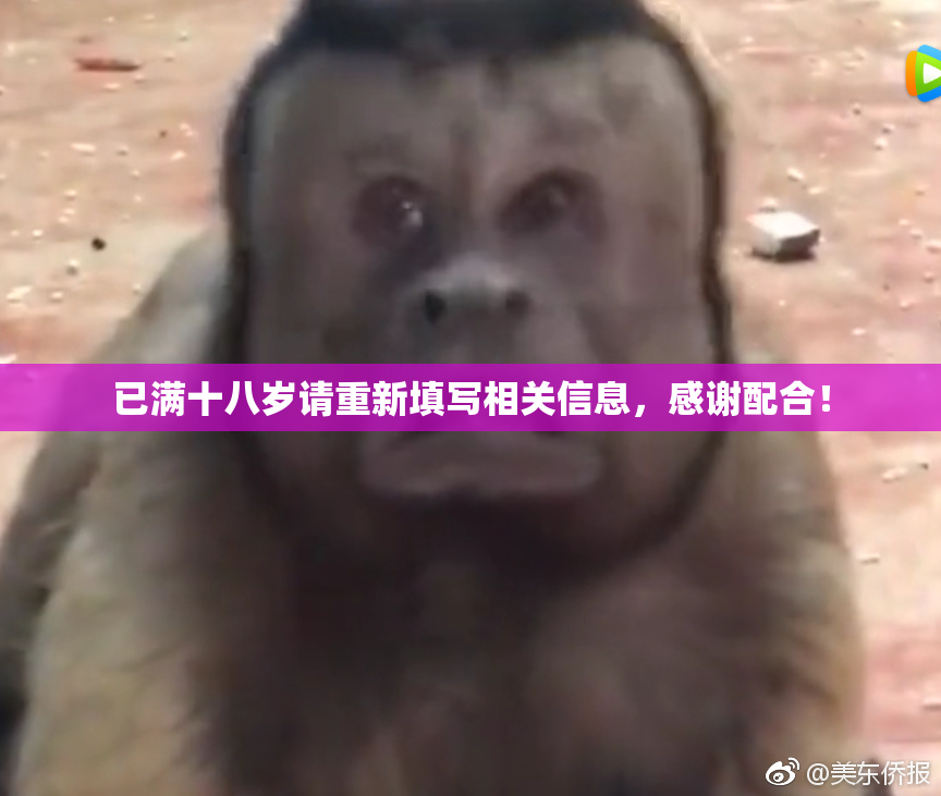 已满十八岁请重新填写相关信息，感谢配合！