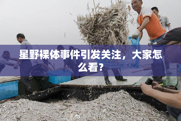 星野裸体事件引发关注，大家怎么看？