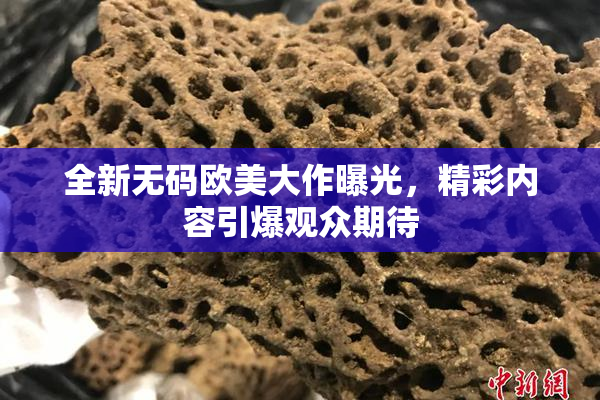 全新无码欧美大作曝光，精彩内容引爆观众期待
