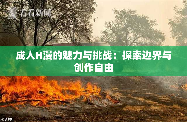 成人H漫的魅力与挑战：探索边界与创作自由