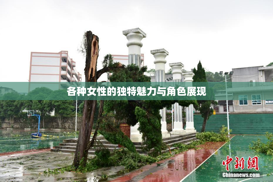 各种女性的独特魅力与角色展现
