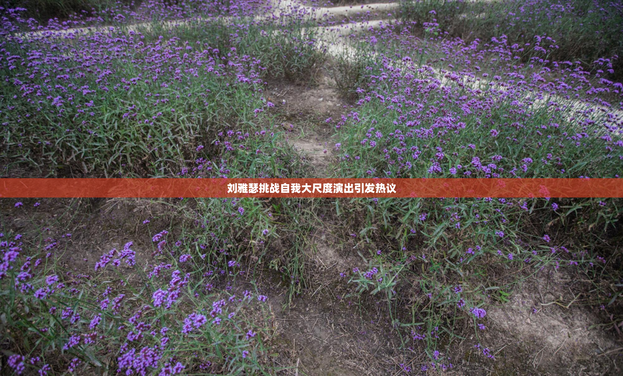 刘雅瑟挑战自我大尺度演出引发热议