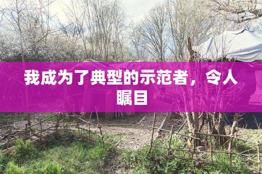 我成为了典型的示范者，令人瞩目