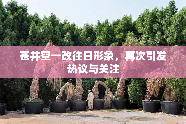 苍井空一改往日形象，再次引发热议与关注