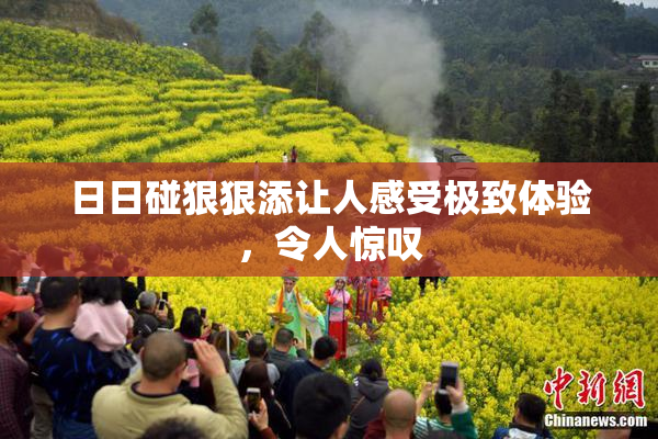 日日碰狠狠添让人感受极致体验，令人惊叹