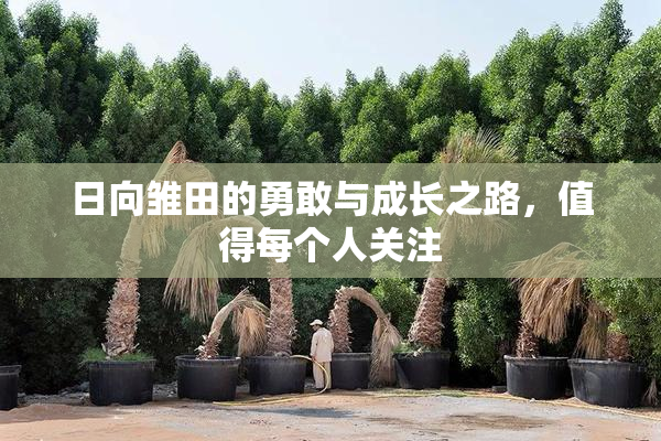 日向雏田的勇敢与成长之路，值得每个人关注