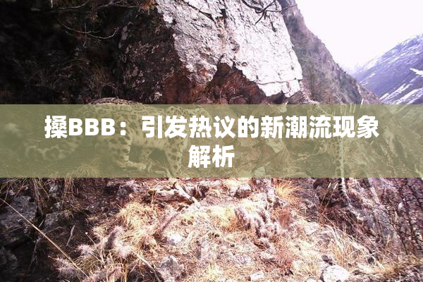 搡BBB：引发热议的新潮流现象解析