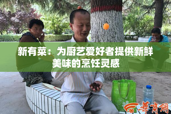 新有菜：为厨艺爱好者提供新鲜美味的烹饪灵感