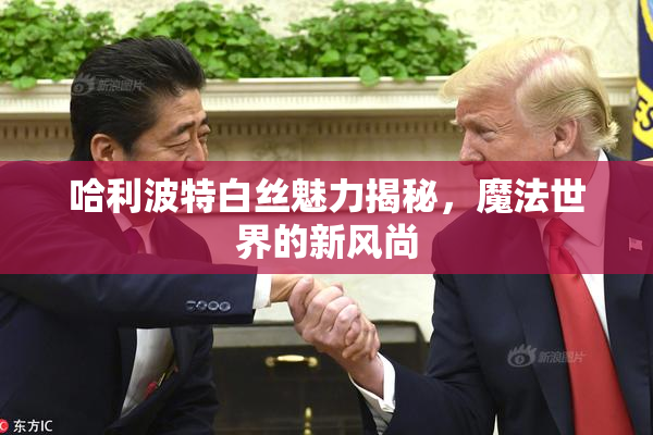 哈利波特白丝魅力揭秘，魔法世界的新风尚