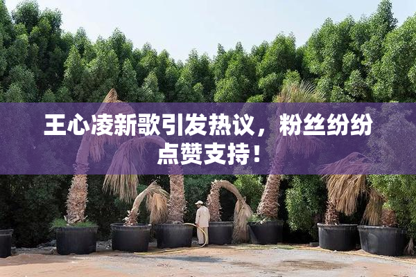 王心凌新歌引发热议，粉丝纷纷点赞支持！