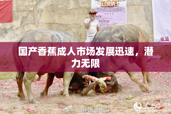 国产香蕉成人市场发展迅速，潜力无限