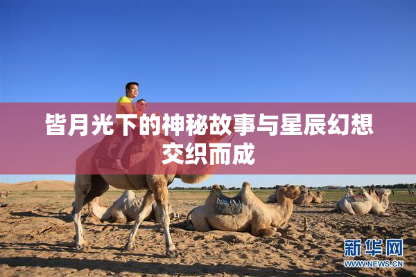 皆月光下的神秘故事与星辰幻想交织而成