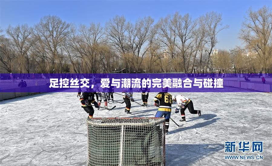足控丝交，爱与潮流的完美融合与碰撞