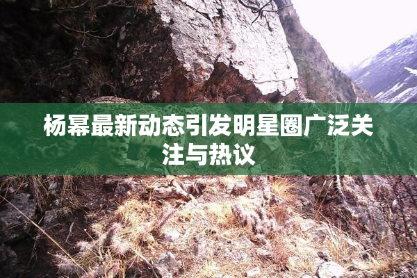 杨幂最新动态引发明星圈广泛关注与热议
