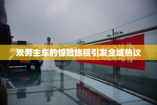 双男主车的惊险旅程引发全城热议