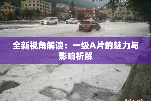 全新视角解读：一级A片的魅力与影响析解
