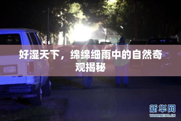 好湿天下，绵绵细雨中的自然奇观揭秘