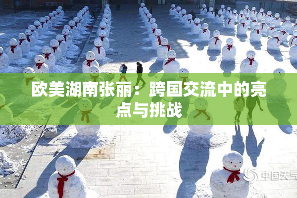 欧美湖南张丽：跨国交流中的亮点与挑战