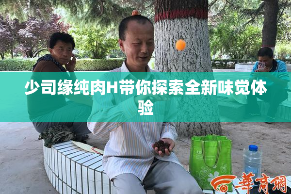 少司缘纯肉H带你探索全新味觉体验