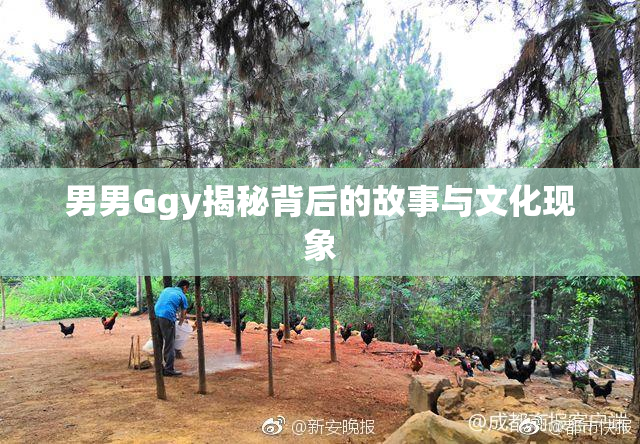男男Ggy揭秘背后的故事与文化现象