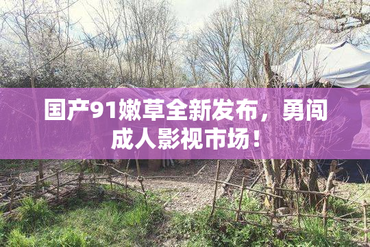 国产91嫩草全新发布，勇闯成人影视市场！