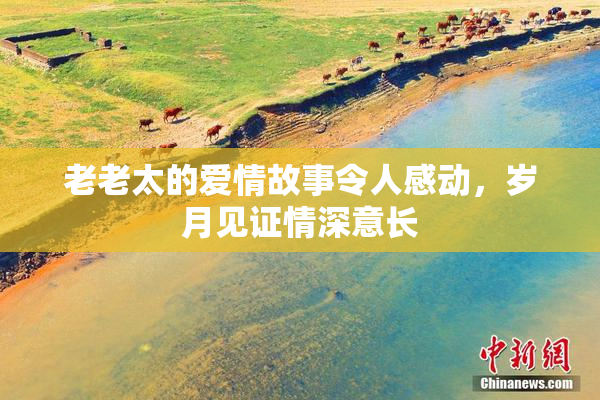 老老太的爱情故事令人感动，岁月见证情深意长
