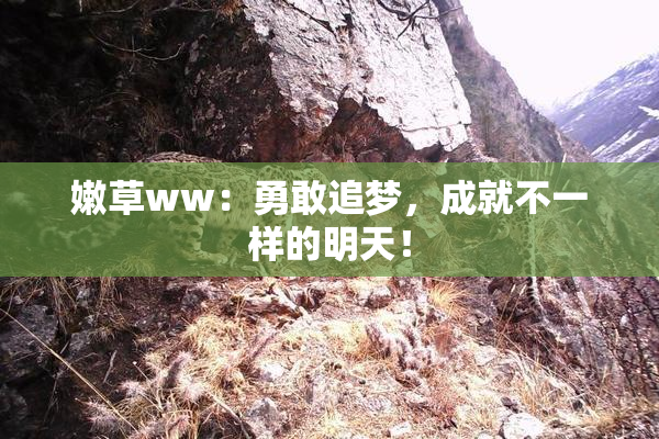 嫩草ww：勇敢追梦，成就不一样的明天！