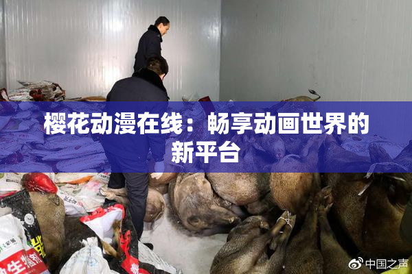 樱花动漫在线：畅享动画世界的新平台