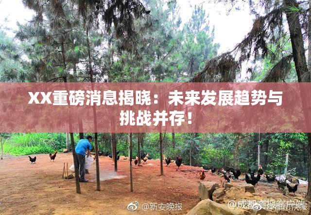 XX重磅消息揭晓：未来发展趋势与挑战并存！