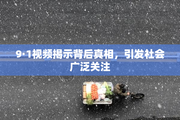9·1视频揭示背后真相，引发社会广泛关注