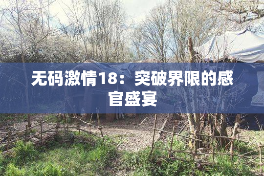 无码激情18：突破界限的感官盛宴