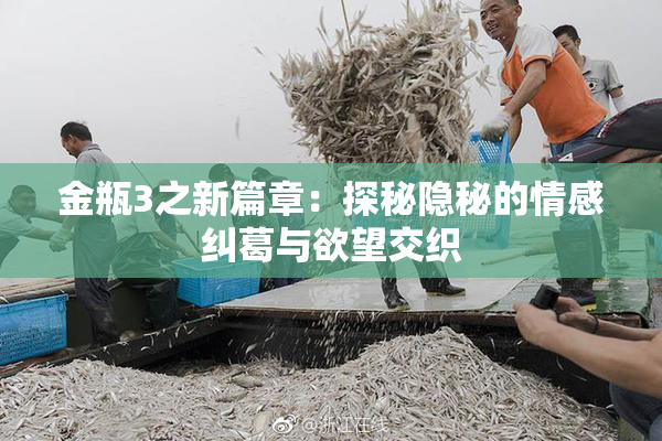 金瓶3之新篇章：探秘隐秘的情感纠葛与欲望交织
