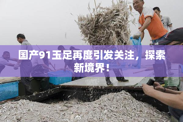 国产91玉足再度引发关注，探索新境界！