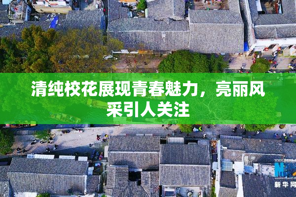 清纯校花展现青春魅力，亮丽风采引人关注