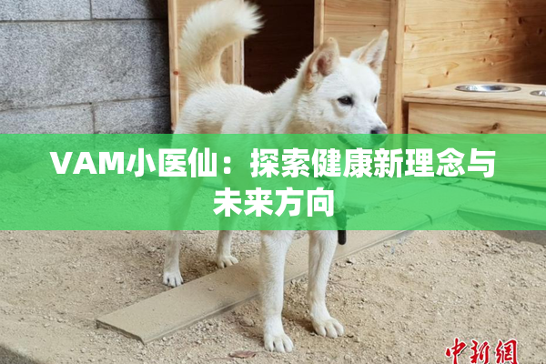 VAM小医仙：探索健康新理念与未来方向