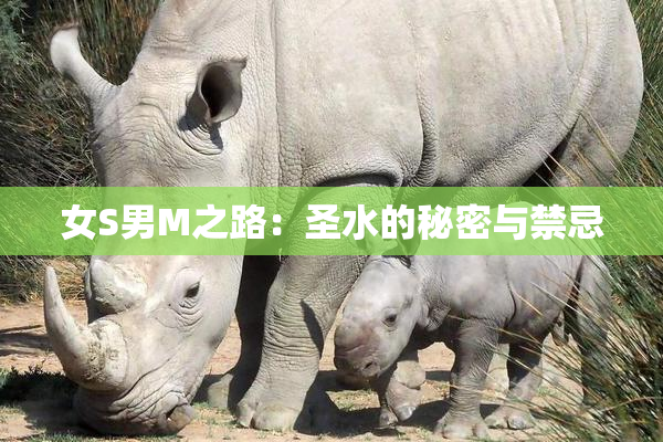 女S男M之路：圣水的秘密与禁忌