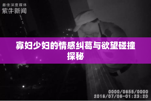 寡妇少妇的情感纠葛与欲望碰撞探秘