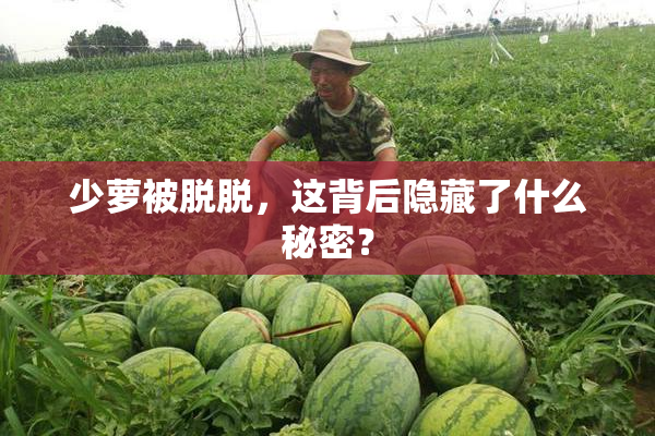 少萝被脱脱，这背后隐藏了什么秘密？