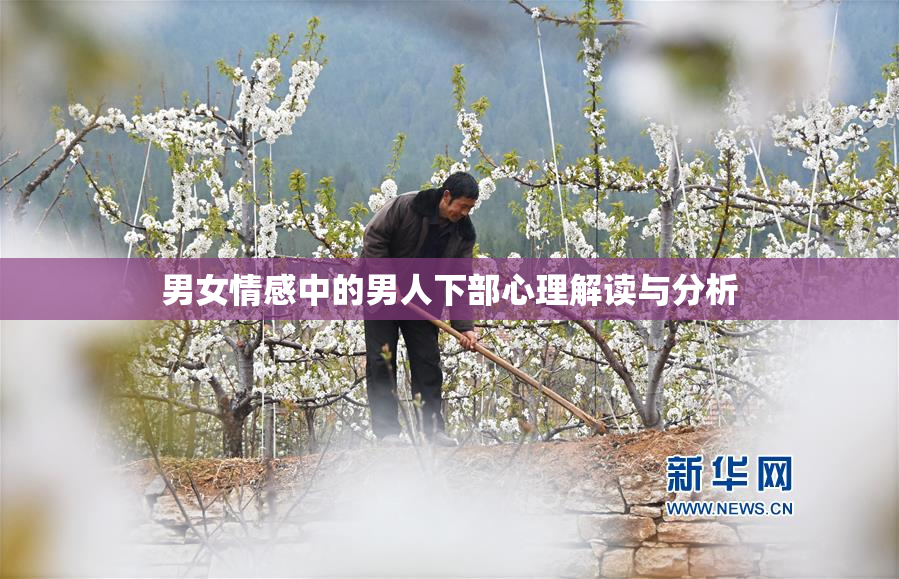 男女情感中的男人下部心理解读与分析