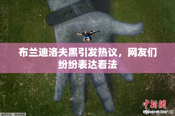 布兰迪洛夫黑引发热议，网友们纷纷表达看法