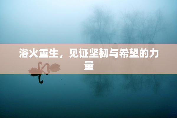 浴火重生，见证坚韧与希望的力量