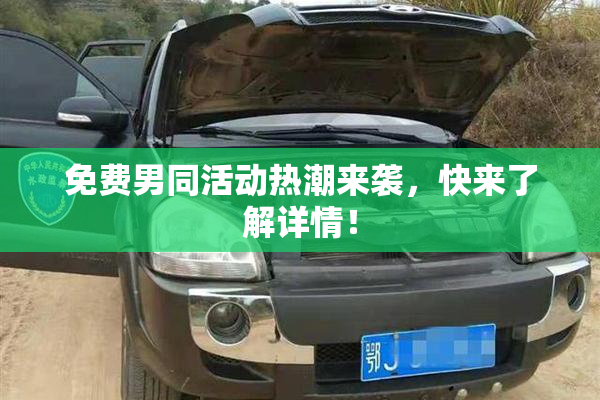 免费男同活动热潮来袭，快来了解详情！