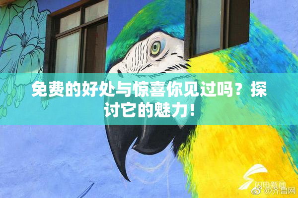 免费的好处与惊喜你见过吗？探讨它的魅力！