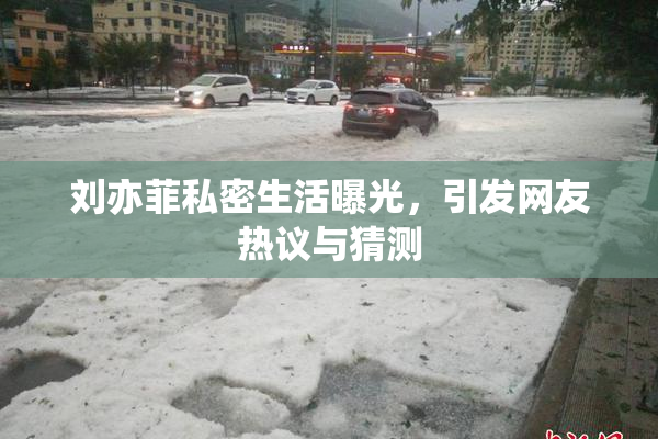 刘亦菲私密生活曝光，引发网友热议与猜测