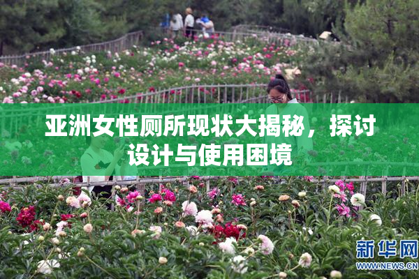 亚洲女性厕所现状大揭秘，探讨设计与使用困境
