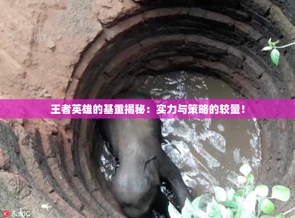 王者英雄的基重揭秘：实力与策略的较量！