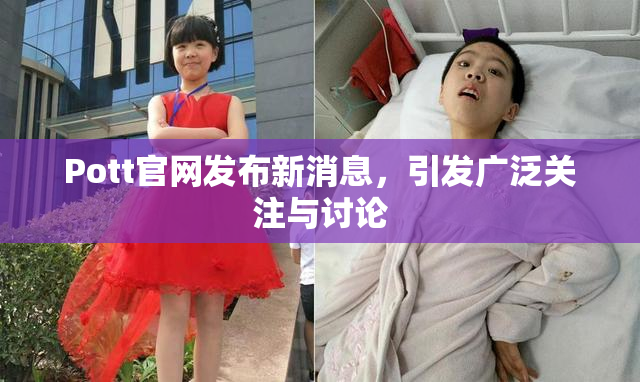 Pott官网发布新消息，引发广泛关注与讨论