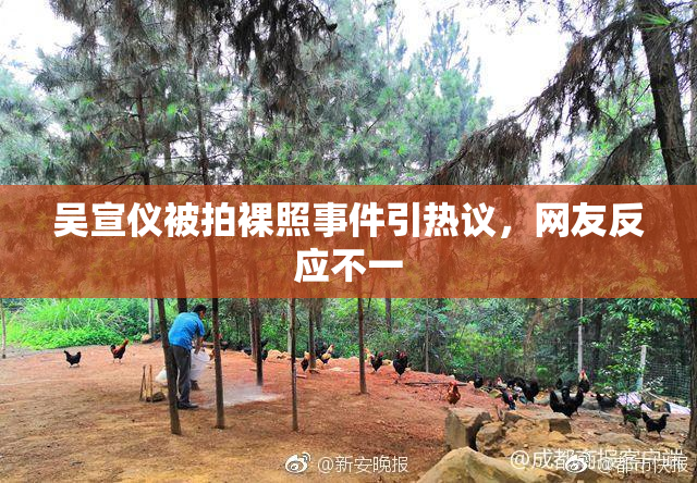 吴宣仪被拍裸照事件引热议，网友反应不一